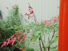 �����܂��Ă��߂łƂ��������܂�