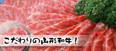 ̎R`aI